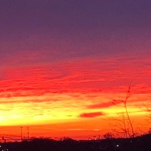 Meet your Posher, Wanda